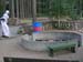 DSCN1406
